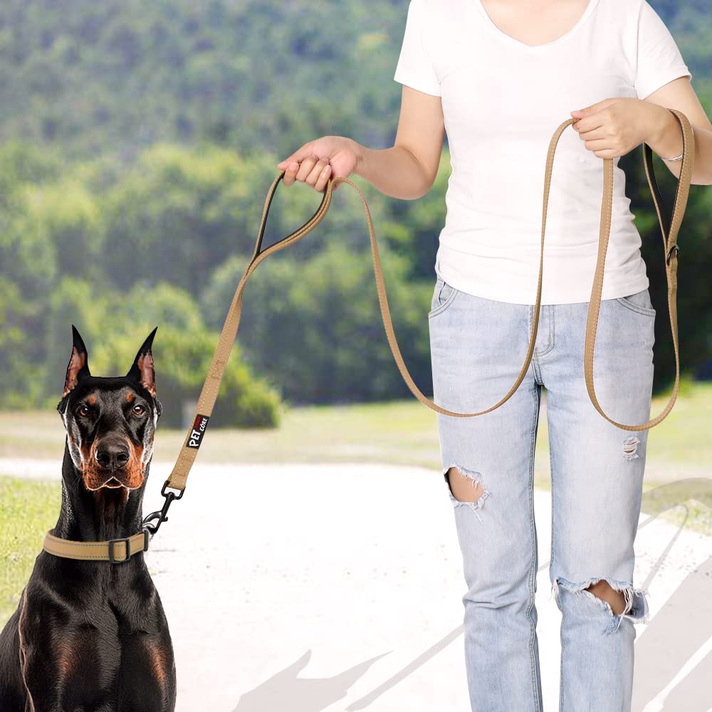 Amazon | Plutus Pet ダブルハンドル 犬用リード 6フィート 高耐久